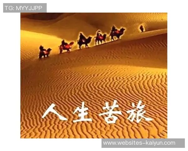 张秀英的极限运动人生探索与挑战的深度对话之旅